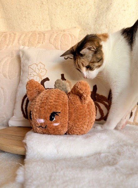 Kürbis „Cat“